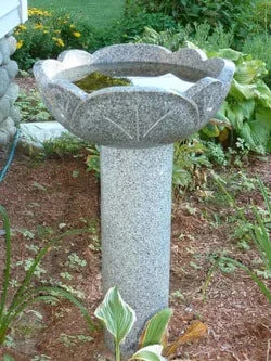 Tulip Shaped One Piece Bird Bath
